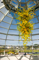 Chihuly Exhibits at Phipps Conservatory